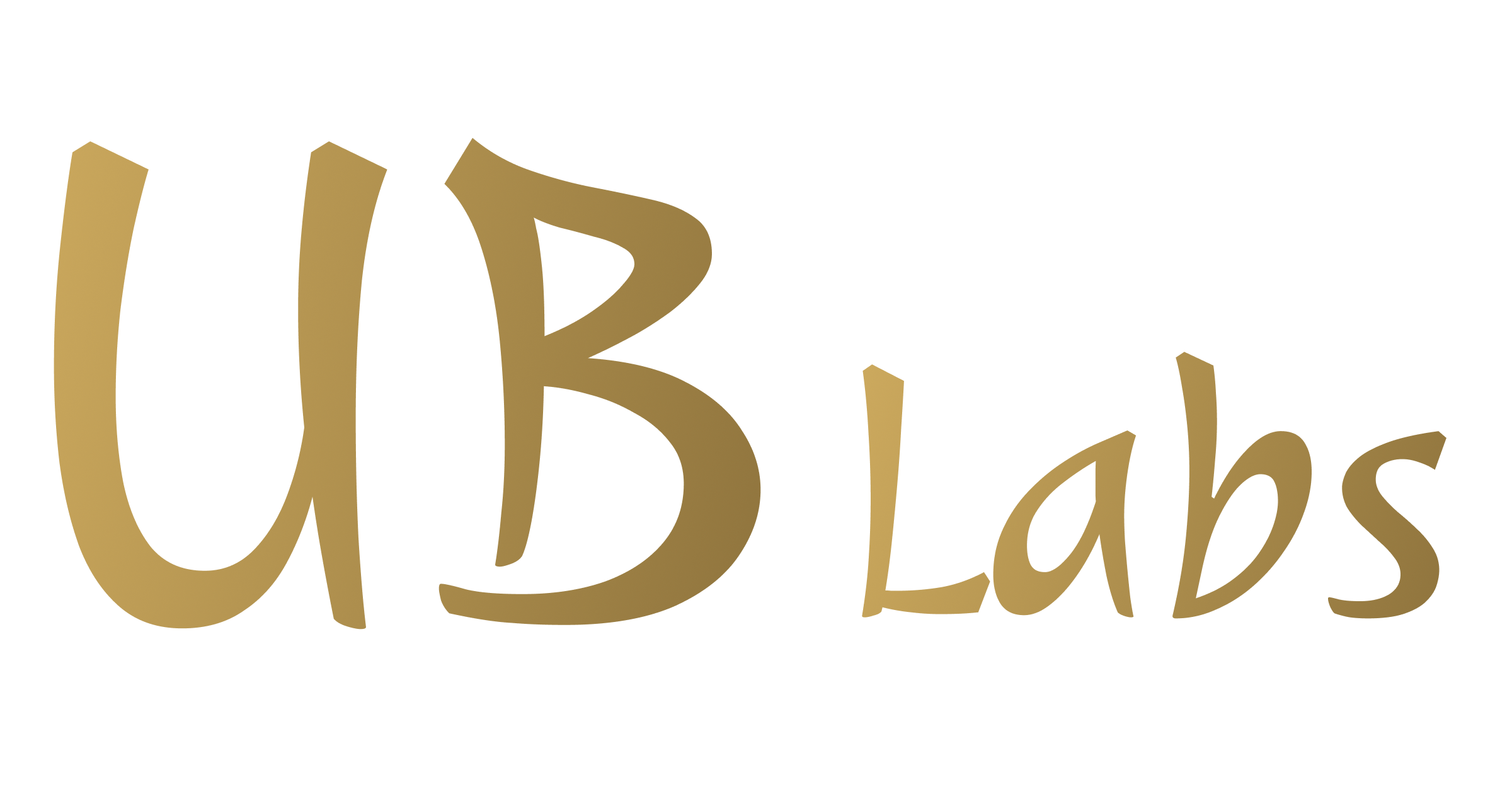 UB Labs | Bespoke Web & AI